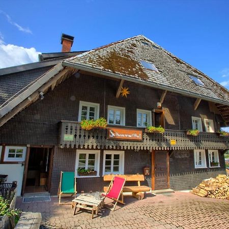 Wohlfuehl-Ferienwohnung 80 Qm, 8 Personen, Aussicht & Heimkino Todtnau Extérieur photo