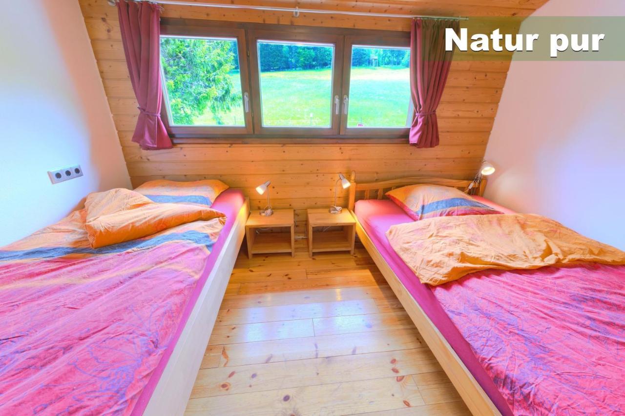 Wohlfuehl-Ferienwohnung 80 Qm, 8 Personen, Aussicht & Heimkino Todtnau Extérieur photo