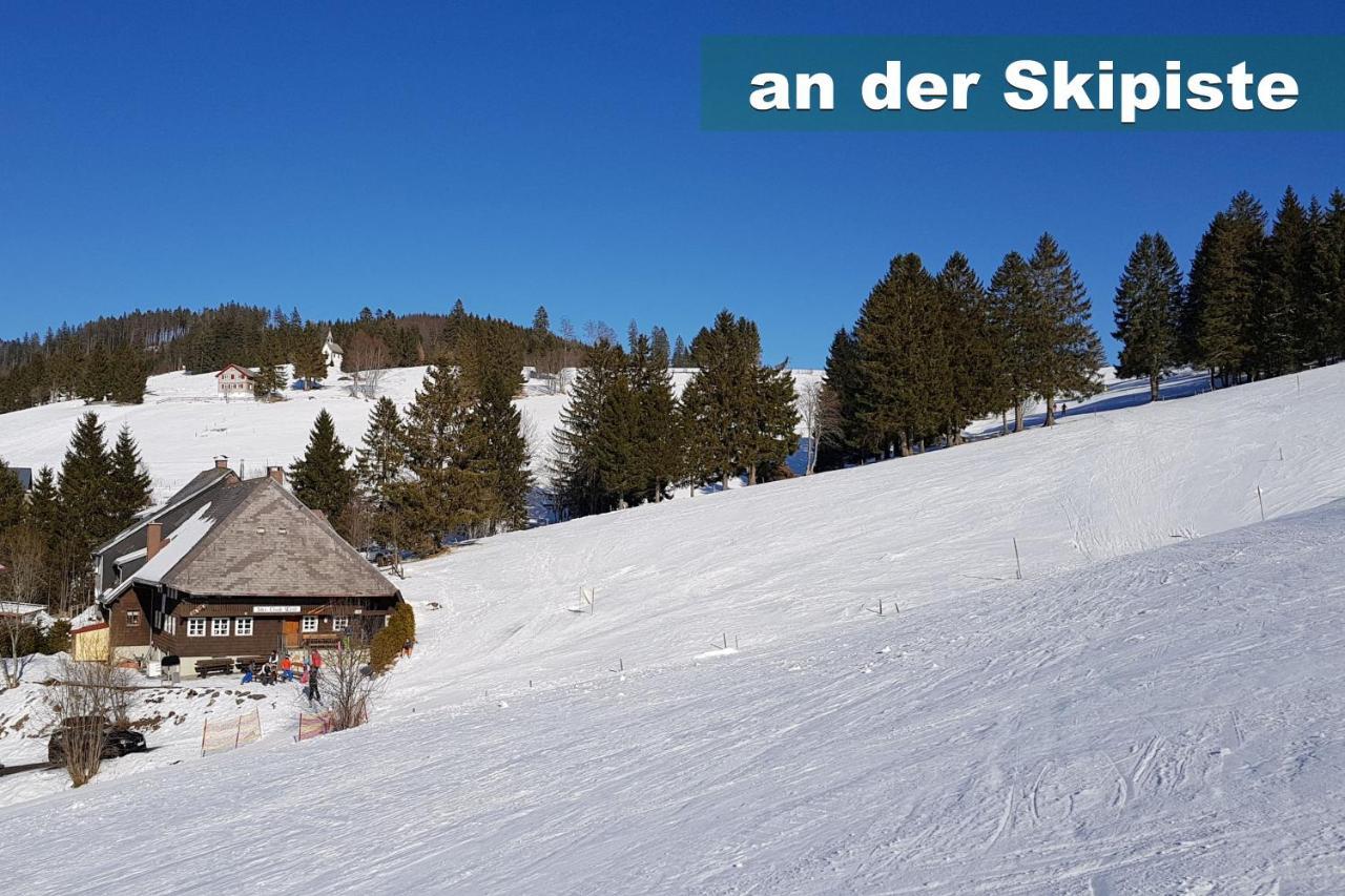 Wohlfuehl-Ferienwohnung 80 Qm, 8 Personen, Aussicht & Heimkino Todtnau Extérieur photo