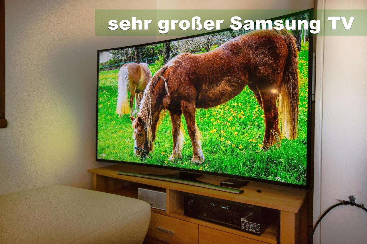 Wohlfuehl-Ferienwohnung 80 Qm, 8 Personen, Aussicht & Heimkino Todtnau Extérieur photo