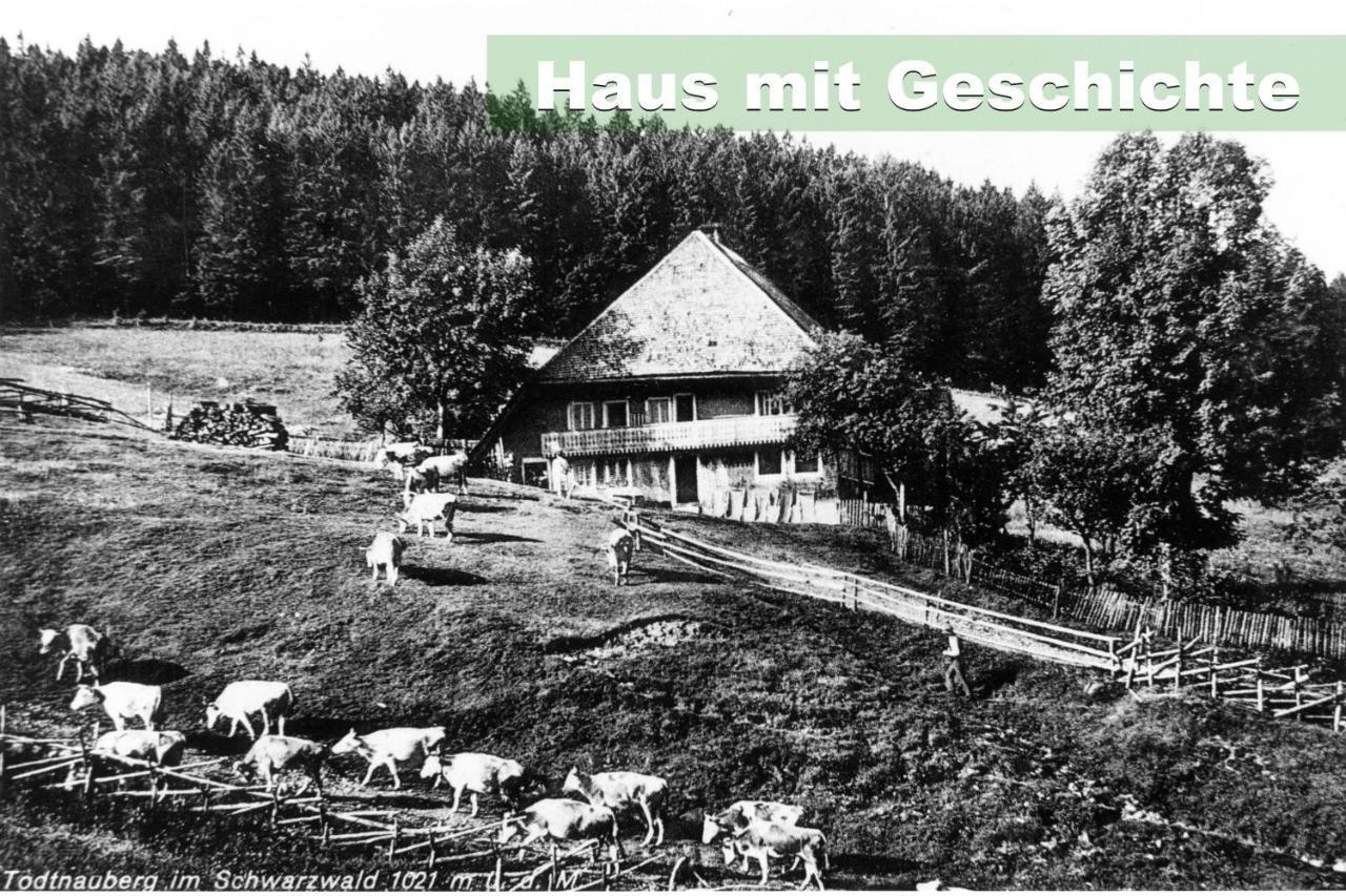 Wohlfuehl-Ferienwohnung 80 Qm, 8 Personen, Aussicht & Heimkino Todtnau Extérieur photo